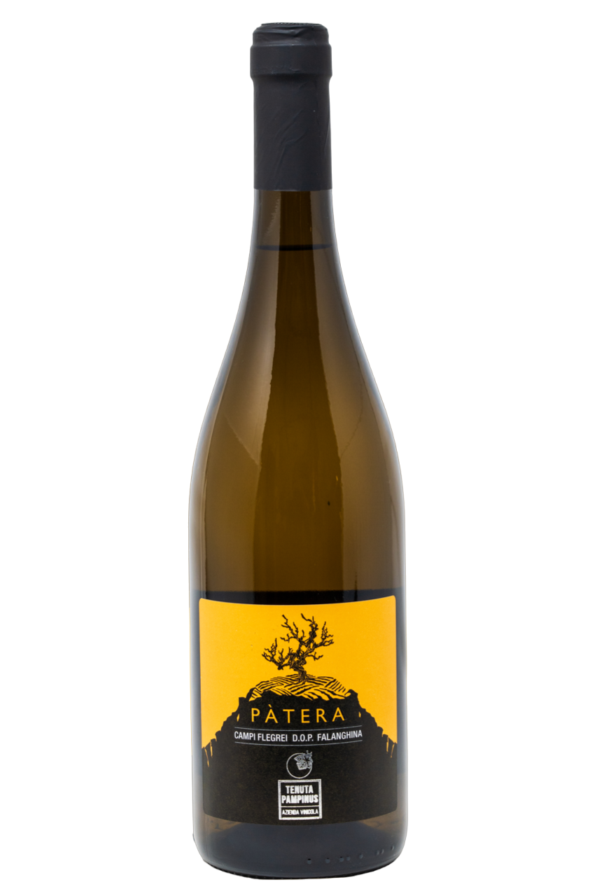 FALANGHINA CAMPI FLEGREI DOC 2024 PÀTERA