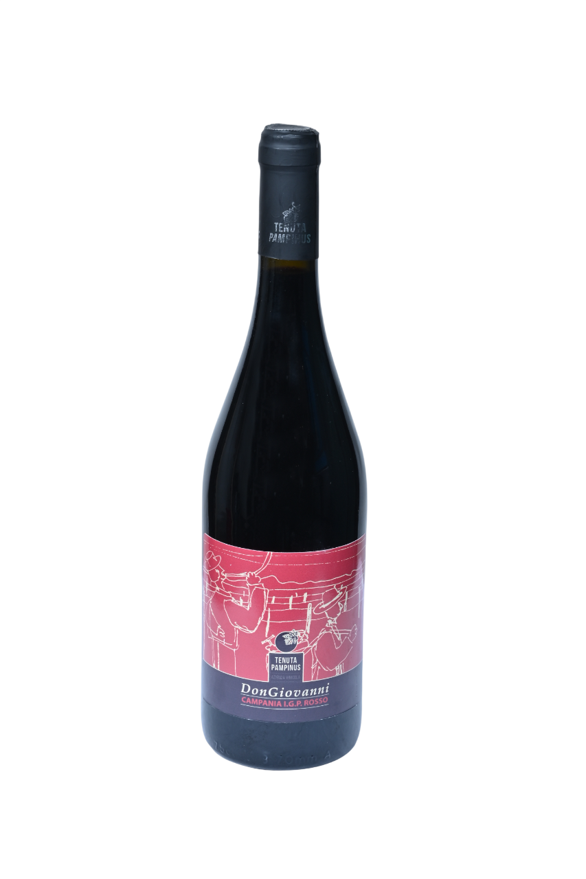 Rosso Campania IGP 2020 Don Giovanni