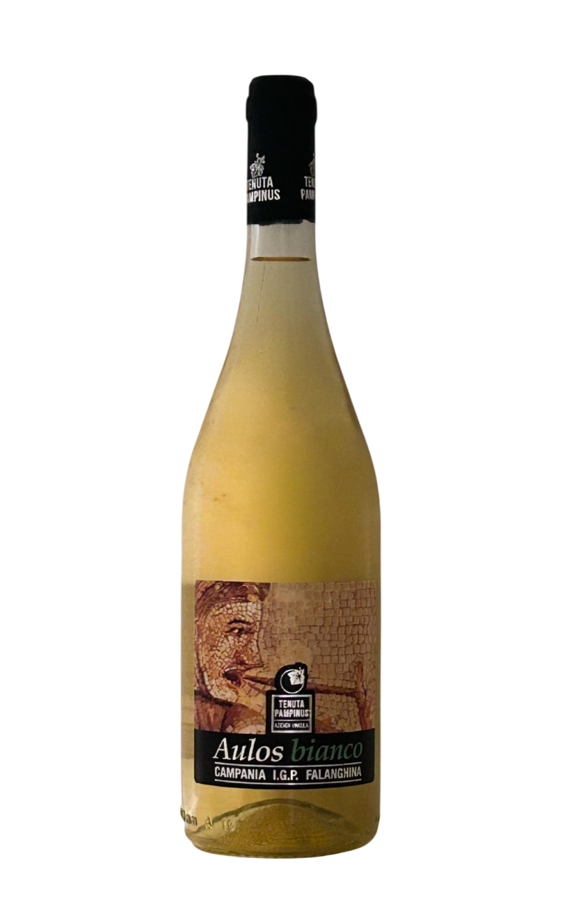 Falanghina Campania IGP 2024 Aulos Bianco Tenuta Pampinus