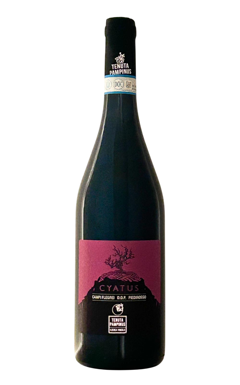 Piedirosso Campi Flegrei DOC 2024 CYATUS Tenuta Pampinus