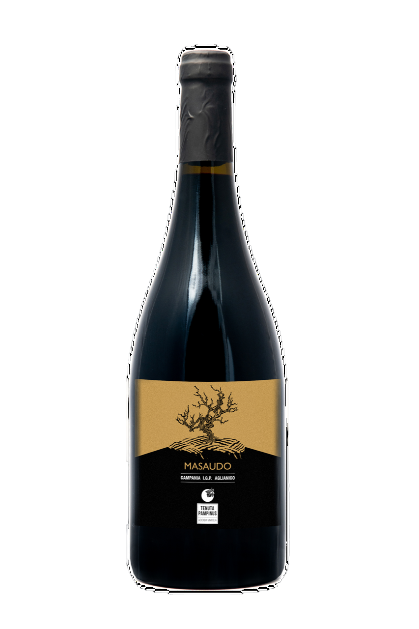 AGLIANICO CAMPANIA IGP 2020 MASAUDO