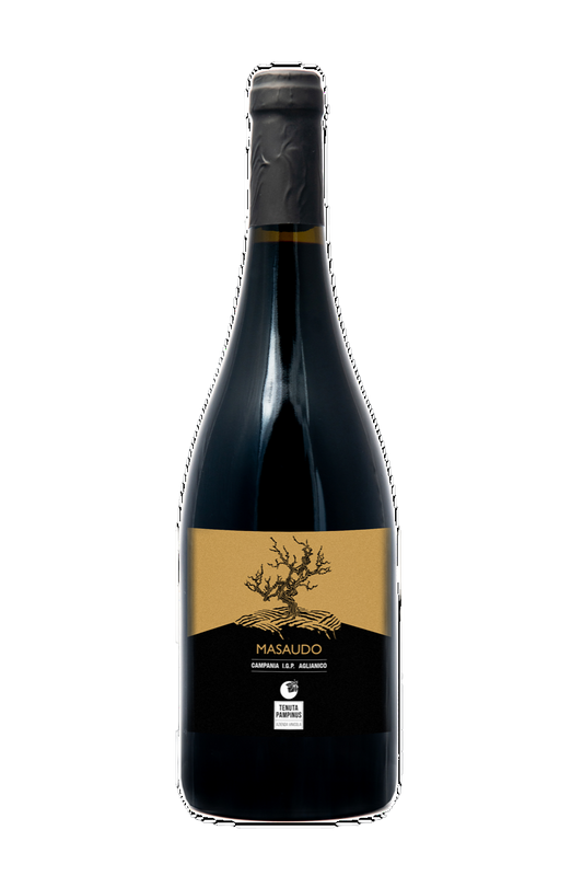 AGLIANICO CAMPANIA IGP 2020 MASAUDO
