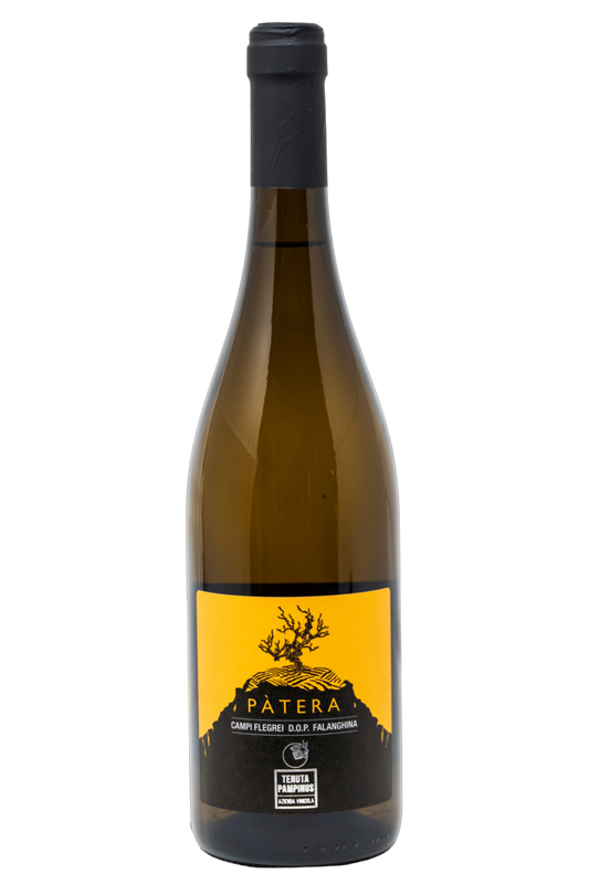 FALANGHINA CAMPI FLEGREI DOC 2024 PÀTERA