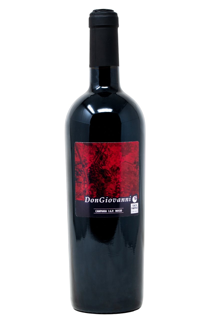 ROSSO CAMPANIA IGP 2020 DON GIOVANNI