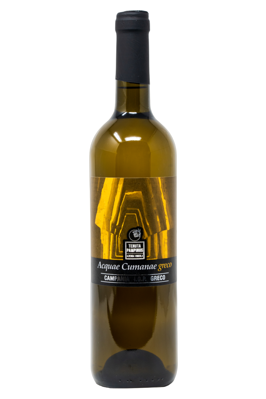 GRECO CAMPANIA IGP 2024 ACQUAE CUMANAE