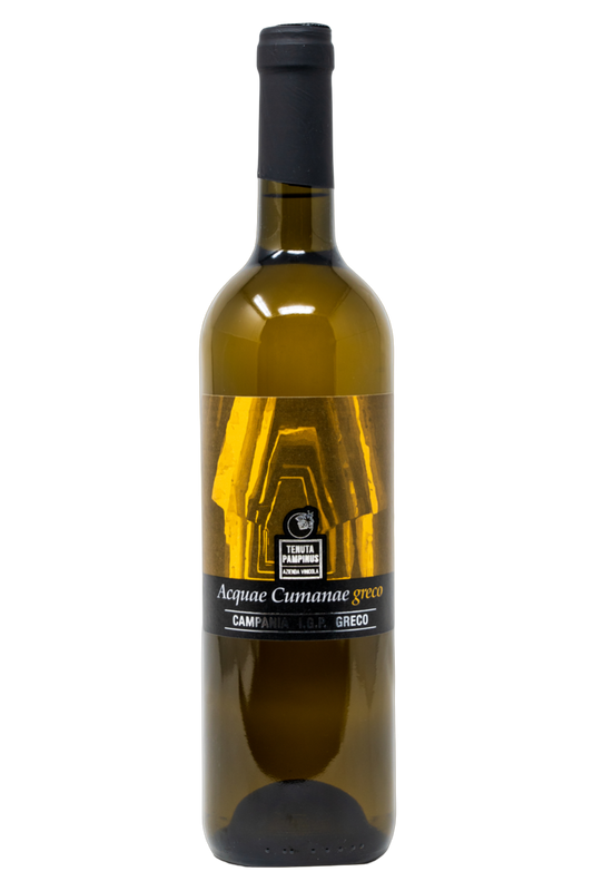 GRECO CAMPANIA IGP 2024 ACQUAE CUMANAE