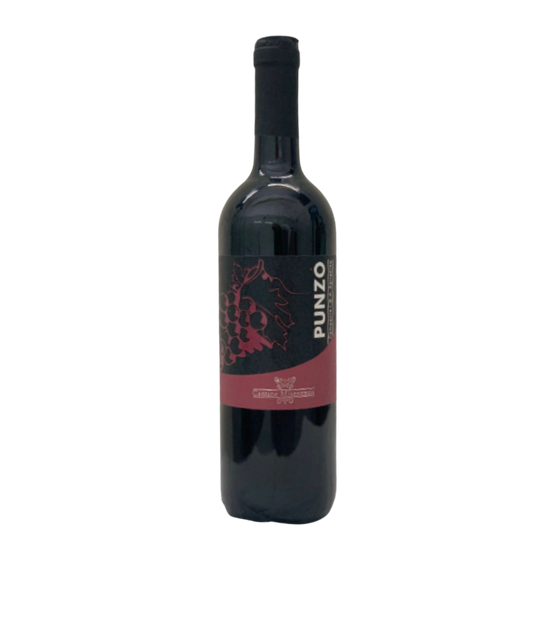 AGLIANICO CAMPANIA IGP 2023 PUNZÒ