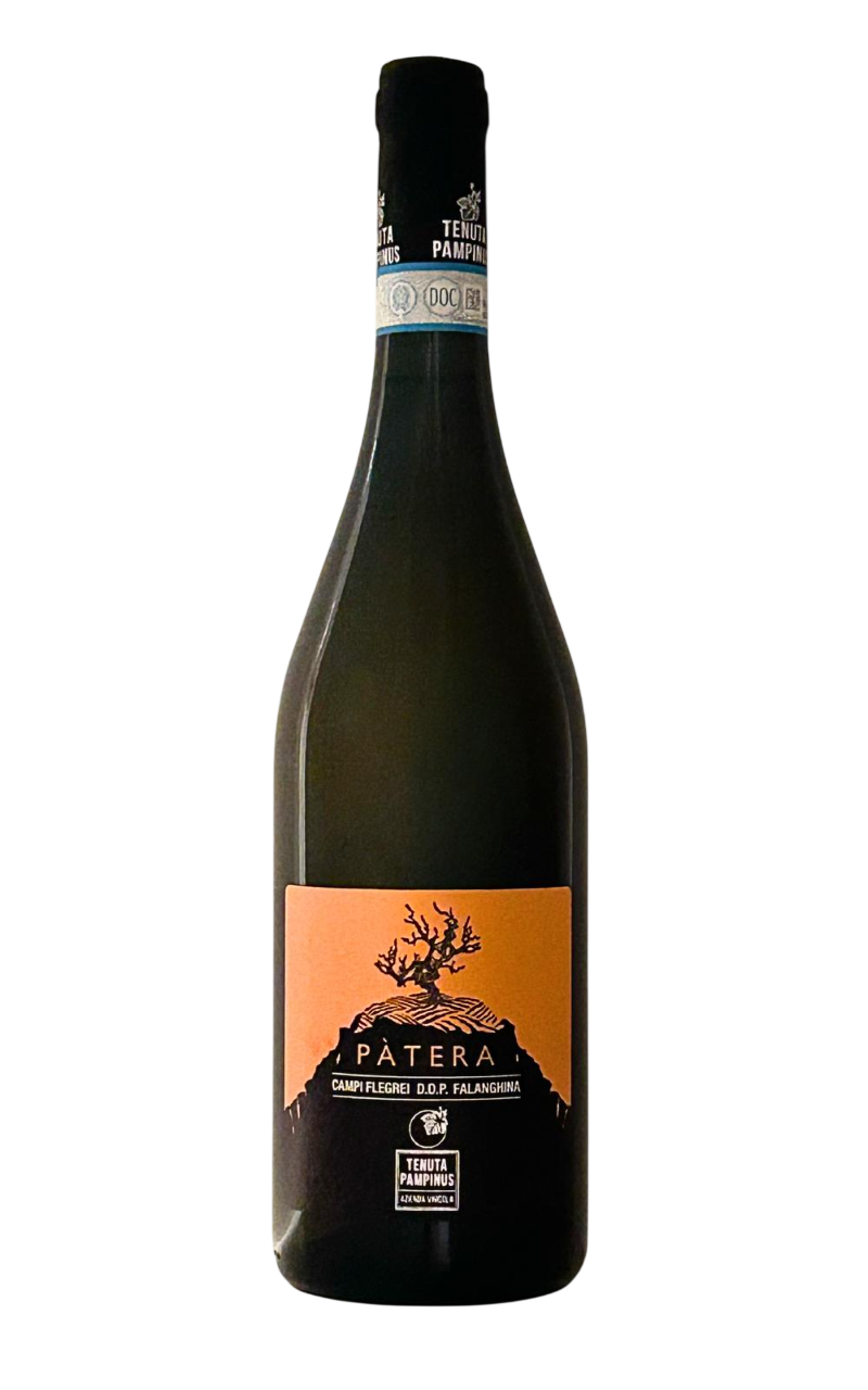 Falanghina Campi Flegrei DOC 2024 PÀTERA Tenuta Pampinus