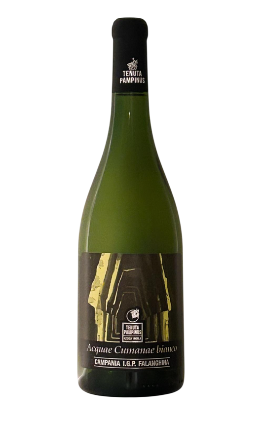Falanghina Campania IGP 2024 ACQUAE CUMANAE BIANCO Tenuta Pampinus