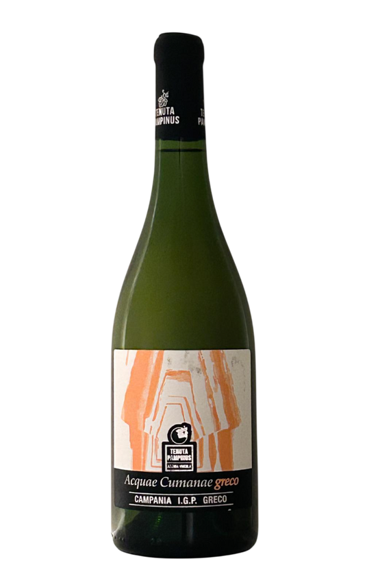 Greco Campania IGP 2024 Acquae Cumanae Tenuta Pampinus