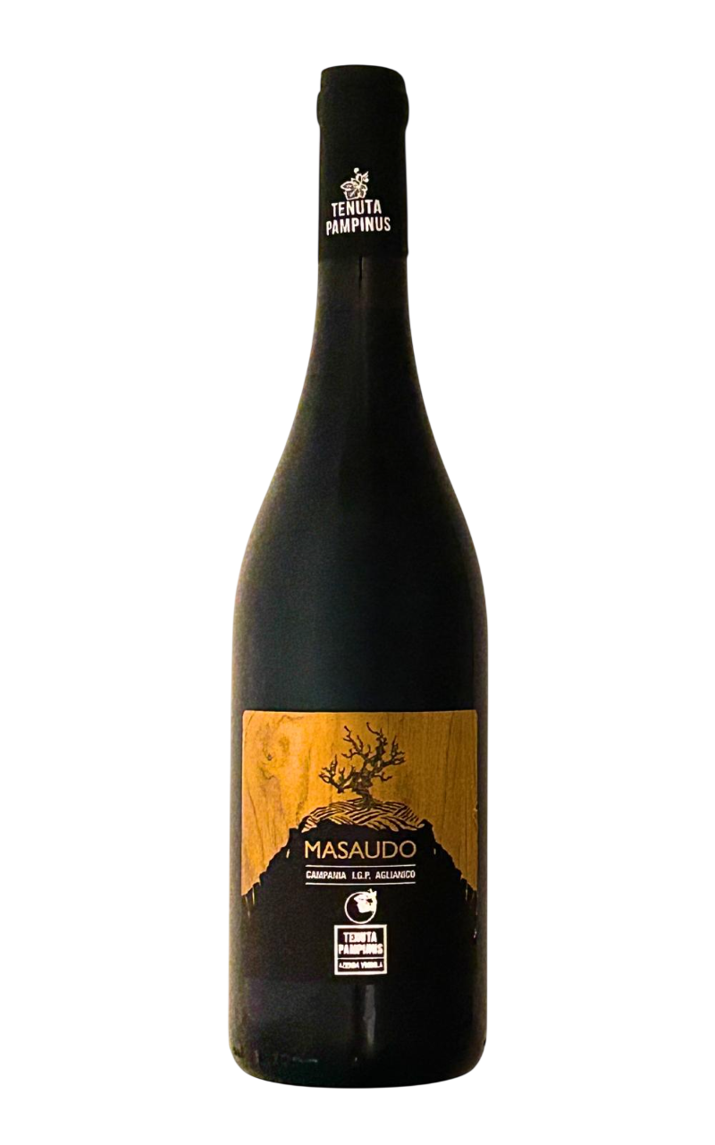 Aglianico Campania IGP 2018 MASAUDO Tenuta Pampinus